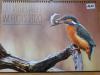 Vorschaubild der Meldung: Kalender "Die Vogelwelt im Focus 2020"