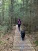 Meldung: Wandertag auf dem Erlebnispfad Binger Wald