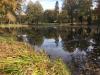 Vorschaubild der News: Spontaner Herbstputz am Schlosspark-Teich