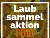 Laub-Sammel-Aktion vom Förderverein
