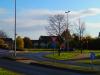 Vorschaubild der News: Erster Laub-Weihnachtsbaum in Nauheim an der Berzallee