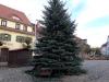 Vorschaubild der News: Weihnachtsmarkt in Uebigau
