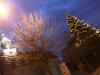 Vorschaubild der News: "O Tannenbaum, O Tannenbaum…. du kannst uns sehr gefallen!“