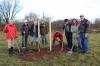 Meldung: Bürgerverein pflanzt 90 Bäume in einem Jahr