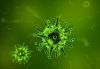 Vorschaubild der News: Aktuelle Informationen zur Lage Corona-Virus