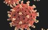 Aktuelle Informationen des Corona-Virus (SARS-CoV-2/COVID-19)