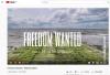 Vorschaubild der News: Freedom Wanted - ein Musikprojekt für mehr Zusammenhalt
