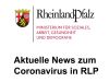 Land Rheinland-Pfalz richtet eine zentrale Telefon-Hotline ein