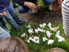 Vorschaubild der Meldung: Unsere Waldausflüge - zusätzliche Termine in Bad Breisig