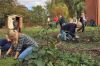 Vorschaubild der Meldung: Garten-Aktionstag