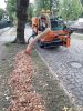 Vorschaubild der News: Laubentsorgung der Straßenbäume in den einzelnen Ortschaften
