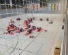 Vorschaubild der Meldung: U15-Landesauswahl im Lehrgang