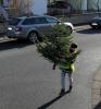 Vorschaubild der News: Weihnachtsbäume 2021 - Alternative zur Sammelaktion Vorschaubild der News: Weihnachtsbäume 2021 - Alternative zur Sammelaktion