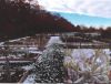 Vorschaubild der News: Ein Jahr im Kräutergarten an der Berzallee - Heilkräuter des Monats Vorschaubild der News: Ein Jahr im Kräutergarten an der Berzallee - Heilkräuter des Monats