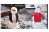 Foto zu Meldung: Willst du einen Schneemann bauen?