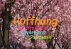 Meldung: Hoffnungskalender (50. Beitrag)
