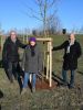 Meldung: 113 Sträucher und Bäume mit dem Lions-Club in Hürth gepflanzt