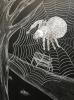 Faszinierende Welt der Spinnen