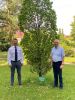 Vorschaubild der Meldung: Bürgermeister weiht Baum im Schlosspark zu Ehren von Dietmar Gornig ein