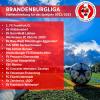 Vorschaubild der Meldung: So sehen die Ligen im Landesspielbetrieb der Herren aus