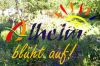 Vorschaubild der News: Alheim blüht auf Vorschaubild der News: Alheim blüht auf