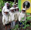 Ferienprogramm 2021: Bienen