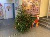 Vorschaubild der Meldung: Vielen Dank dem LionsClub Ritterhude für diesen schönen Christbaum