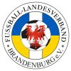Vorschaubild der Meldung: Ukrainische Flüchtende beim Fußball versichert