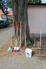 Meldung: Reinigungsaktion zum Jubiläum