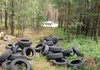 Meldung: Illegale Müllentsorgung im Wald - Landkreis bittet Bevölkerung um Mithilfe