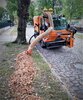 Meldung: Laubentsorgung der Straßenbäume in den einzelnen Ortschaften