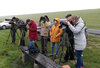 Meldung: Vogelkiek am Speicherkoog - Fotos der Veranstaltung