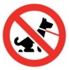 Meldung: Verunreinigung von öffentlichen Flächen durch Hundekot