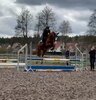 Vorschaubild der Meldung: Reittraining unter Anleitung