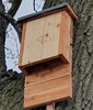 Foto zu Meldung: Neues Haus für Fledermäuse