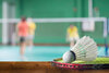 Das Badminton Jahr 2022
