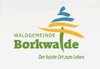 Meldung: Beleuchtungskonzept der Gemeinde Borkwalde