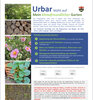 Meldung: Urbar blüht auf - Mein klimafreundlicher Garten