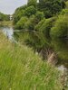 Meldung: Anpflanzung von Ufervegetation in Oschersleben