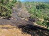 Meldung: Erhöhte Waldbrandgefahr