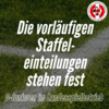 Vorschaubild der Meldung: So kämpfen die D-Junioren um Brandenburgs Fußballkrone