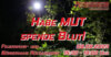 Meldung: Habe Mut - Spende Blut! - Blutspende in Rückersdorf 08.08.2023
