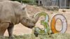 Vorschaubild der Meldung: Wir feiern gemeinsam 30 Jahre Nashorn-Grundschule!