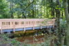 Meldung: Neue Holzbrücke über der Au