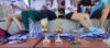 Meldung: Kreisfinale Jugend trainiert Leichtathletik WK II + WK III in Schwarzheide