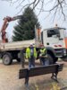 Meldung: Weihnachtsbaum auf dem Marktplatz in Genthin aufgestellt