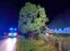 Meldung: Einsatz: Baum droht auf Straße zu stürzen