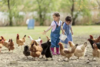 Meldung: Kinder erleben den Bauernhof mit Sicherheit