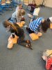 Meldung: Erste Hilfe AG in der Eibenwaldschule