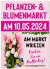 Meldung: Händleraufruf für Wriezener Pflanzen- und Blumenmarkt 2024
